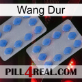 Hard Wang 20